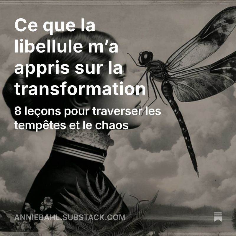  6 cartes à télécharger -  Découvrez ce que la libellule m’a appris sur la transformation