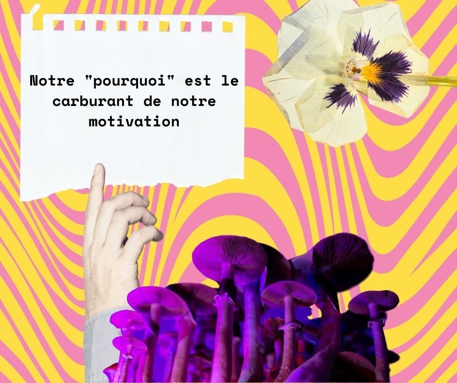 Image d'une main pointant vers le concept du 'pourquoi' en affaires, symbolisant l'importance de la motivation et du but pour les entrepreneurs et travailleurs autonomes, illustrant l'entrepreneuriat, la réussite professionnelle, et l'exploration de la puissance du POURQUOI comme source d'énergie inépuisable et carburant infini.